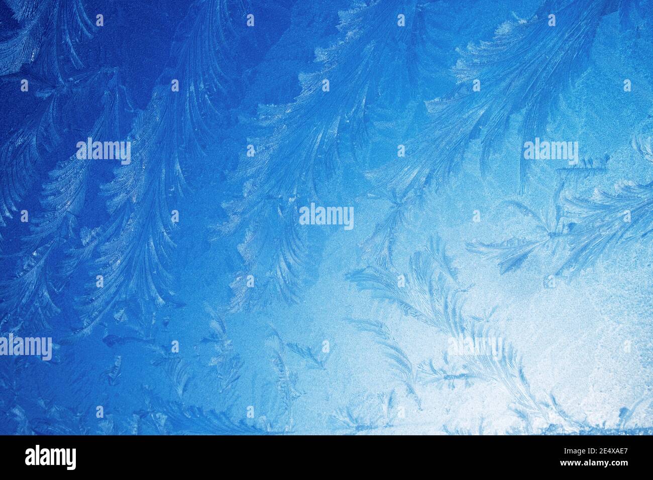 Frost patterns on glass window on a cold freezing frosty icy morning against a blue sky in January winter 2021 Wales UK   KATHY DEWITT Stock Photo