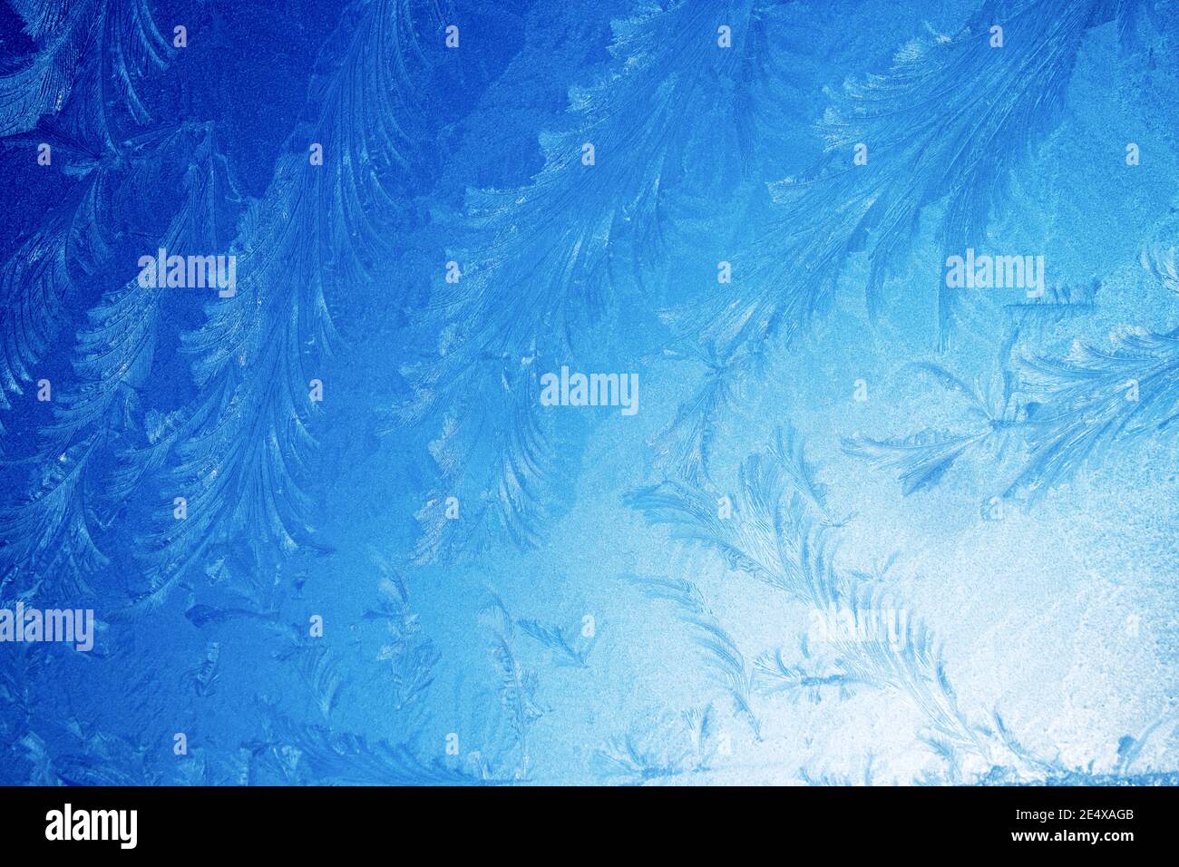 Frost patterns on glass window on a cold freezing frosty icy morning against a blue sky in January winter 2021 Wales UK   KATHY DEWITT Stock Photo