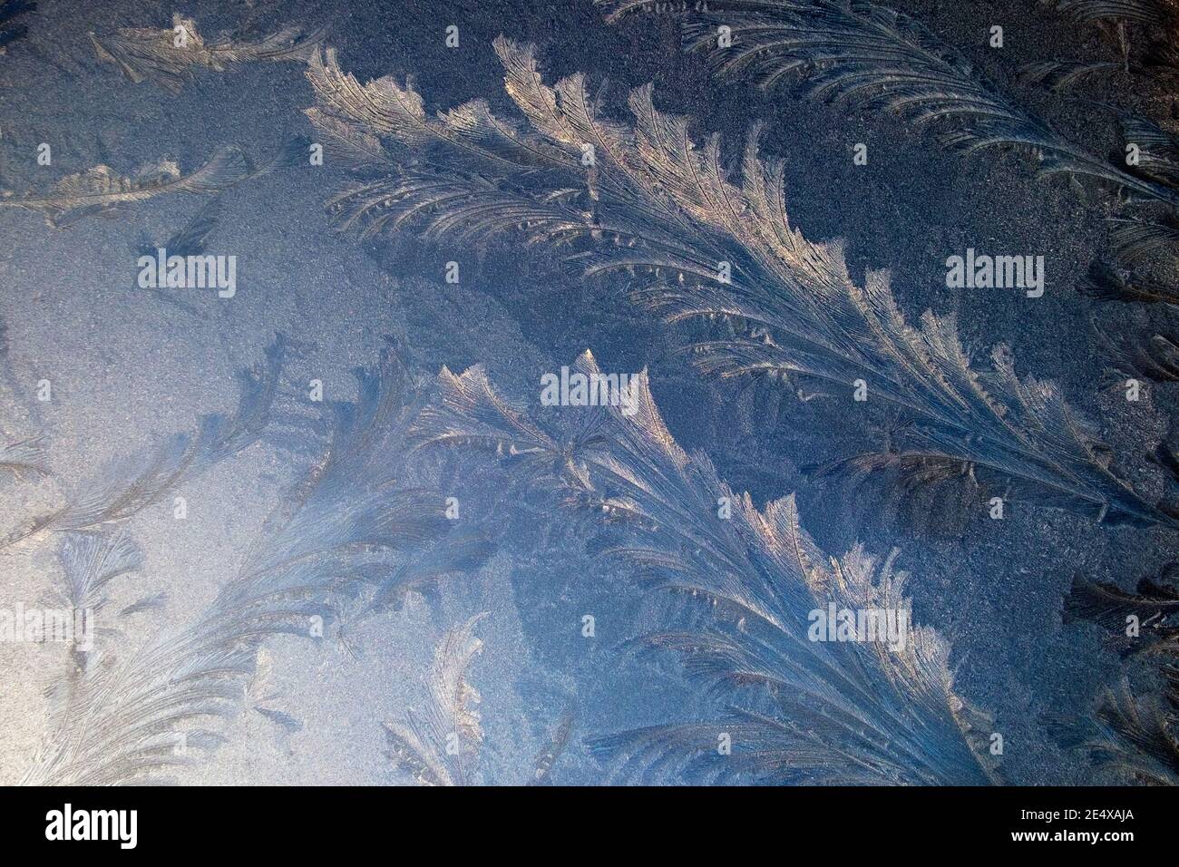 Frost patterns on glass window on a cold freezing frosty icy morning in January winter 2021 Wales UK   KATHY DEWITT Stock Photo