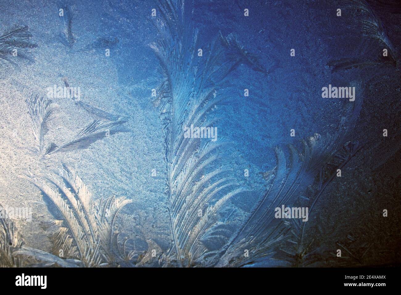 Frost patterns on glass window on a cold freezing frosty icy morning in January winter 2021 Wales UK   KATHY DEWITT Stock Photo
