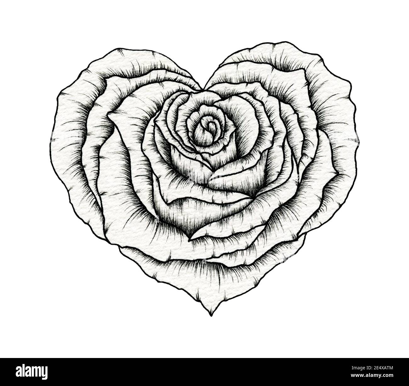Valentine rose heart line art drawing, floral rose heart ink ...