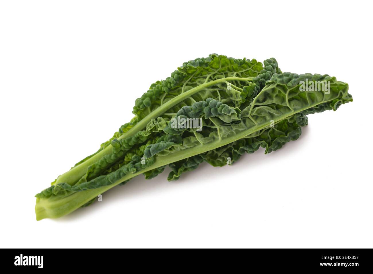 Black cabbage, italian kale isolated on white background Stock Photo