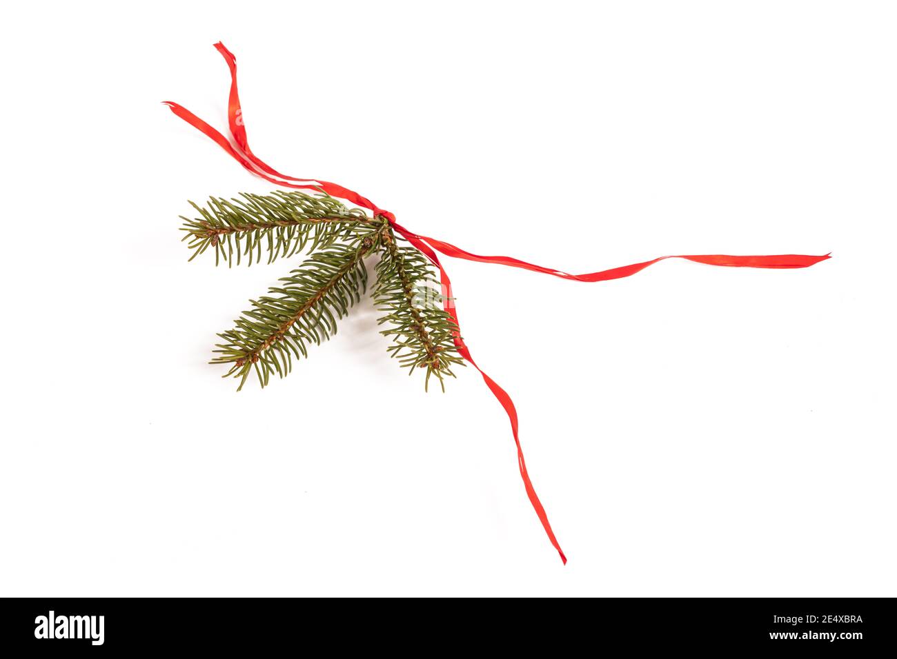 Spruce branch with red ribbon  isolated on white background Stock Photo