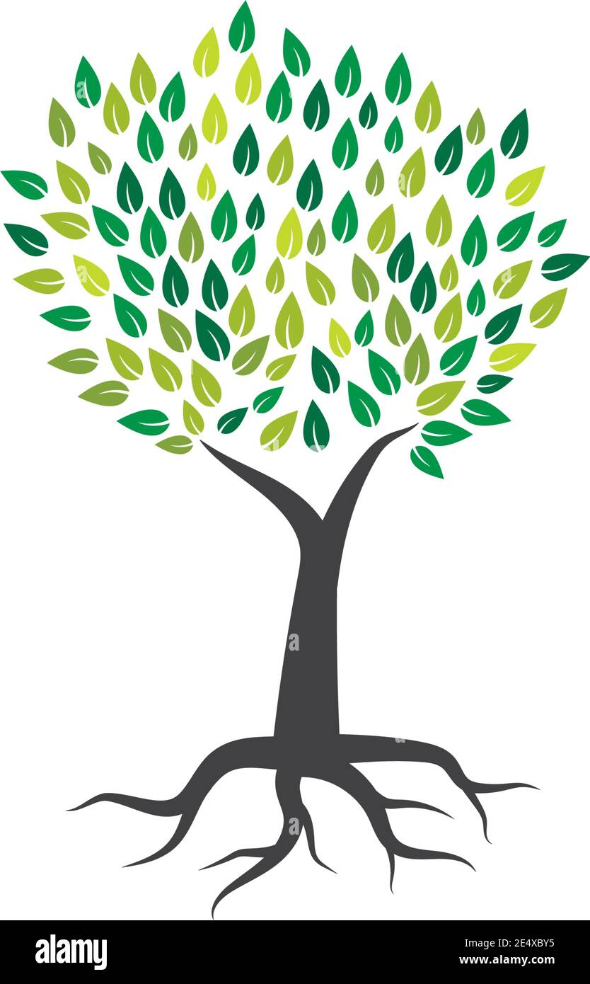 Tree icon logo template vector illustration Stock Vector Image & Art ...