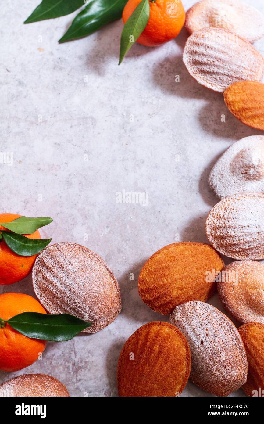 Freshly baked madeleines dusted with icing sugar among fresh clementines with leaves on. Stock Photo