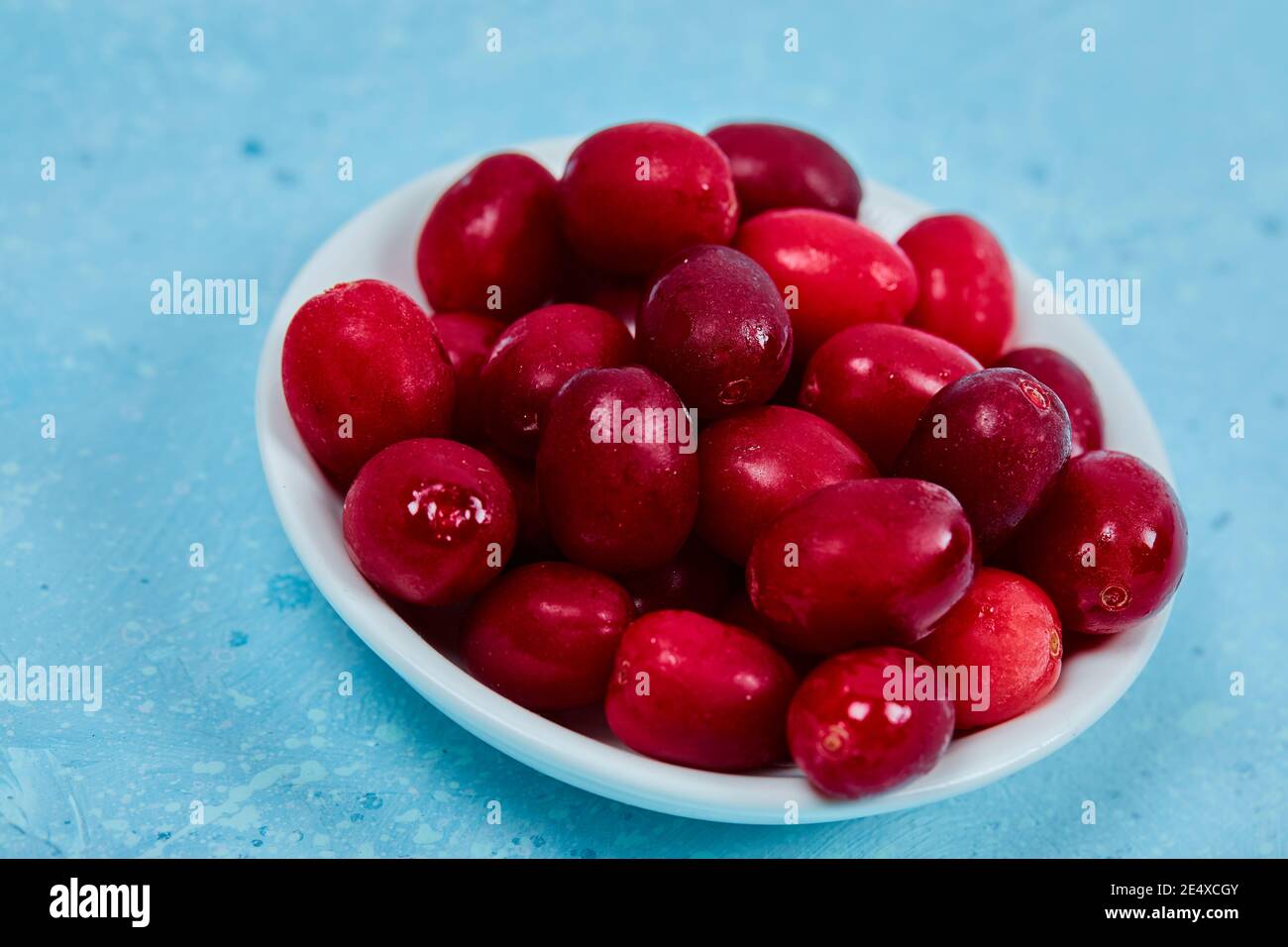 Bunch of cornel berries on white plate. Close up Stock Photo