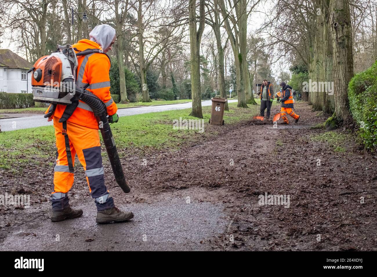 Council workers clearing path of leaves in affluent residential area. Using leaf blowers and wearing high visibility clothing Stock Photo