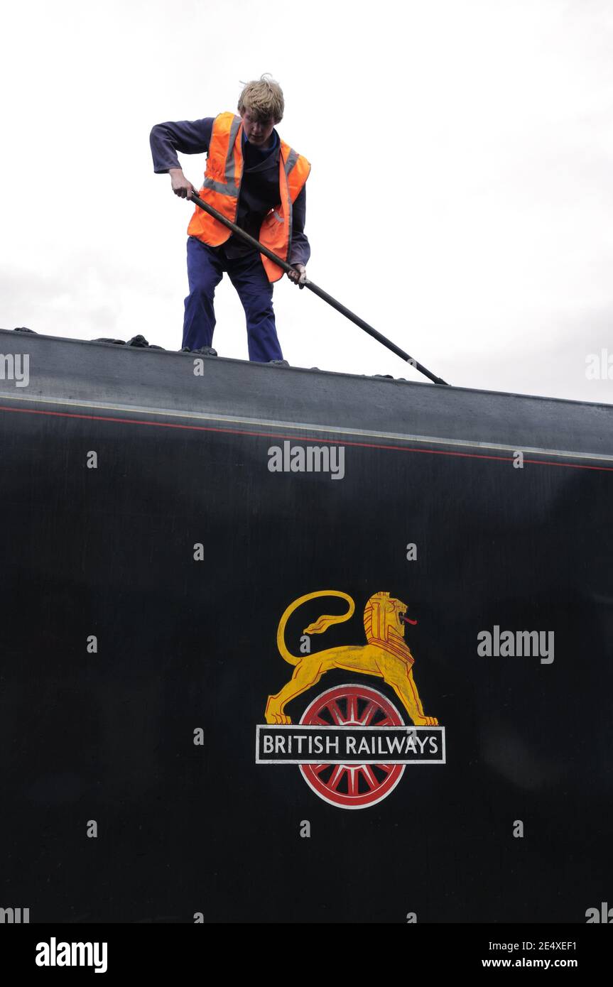 A fire man spreads coal on top of the coal car of the British Railways Jacobite steam locomotive in Fort William, Scotland Stock Photo