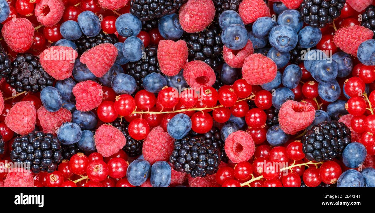Berries berry fruits collection food background fruit banner fresh backgrounds Stock Photo
