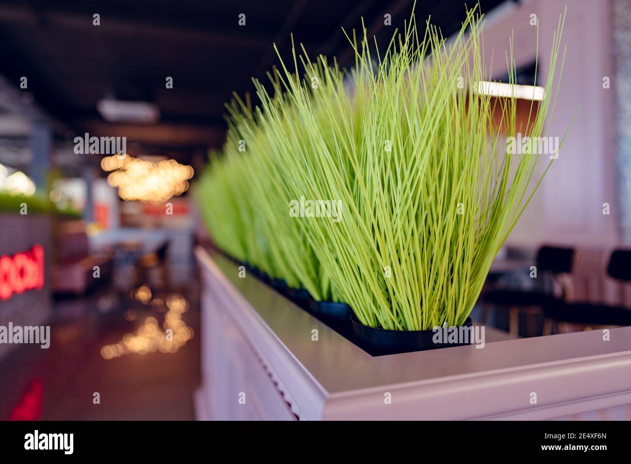 Fake grass in long planter in a mall Stock Photo Alamy
