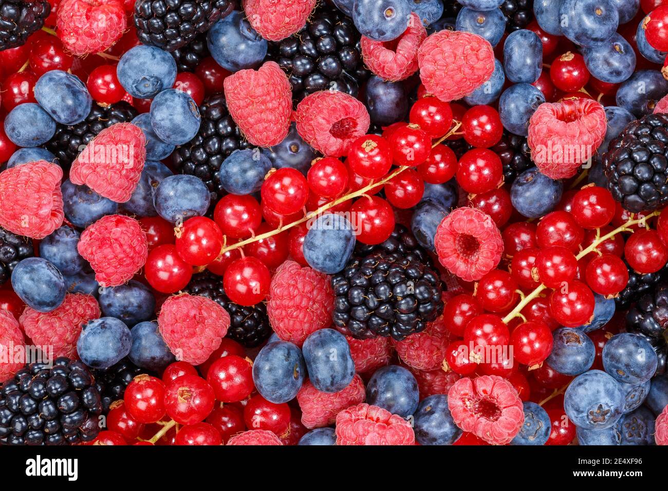Berries berry fruits collection food background fruit fresh backgrounds Stock Photo