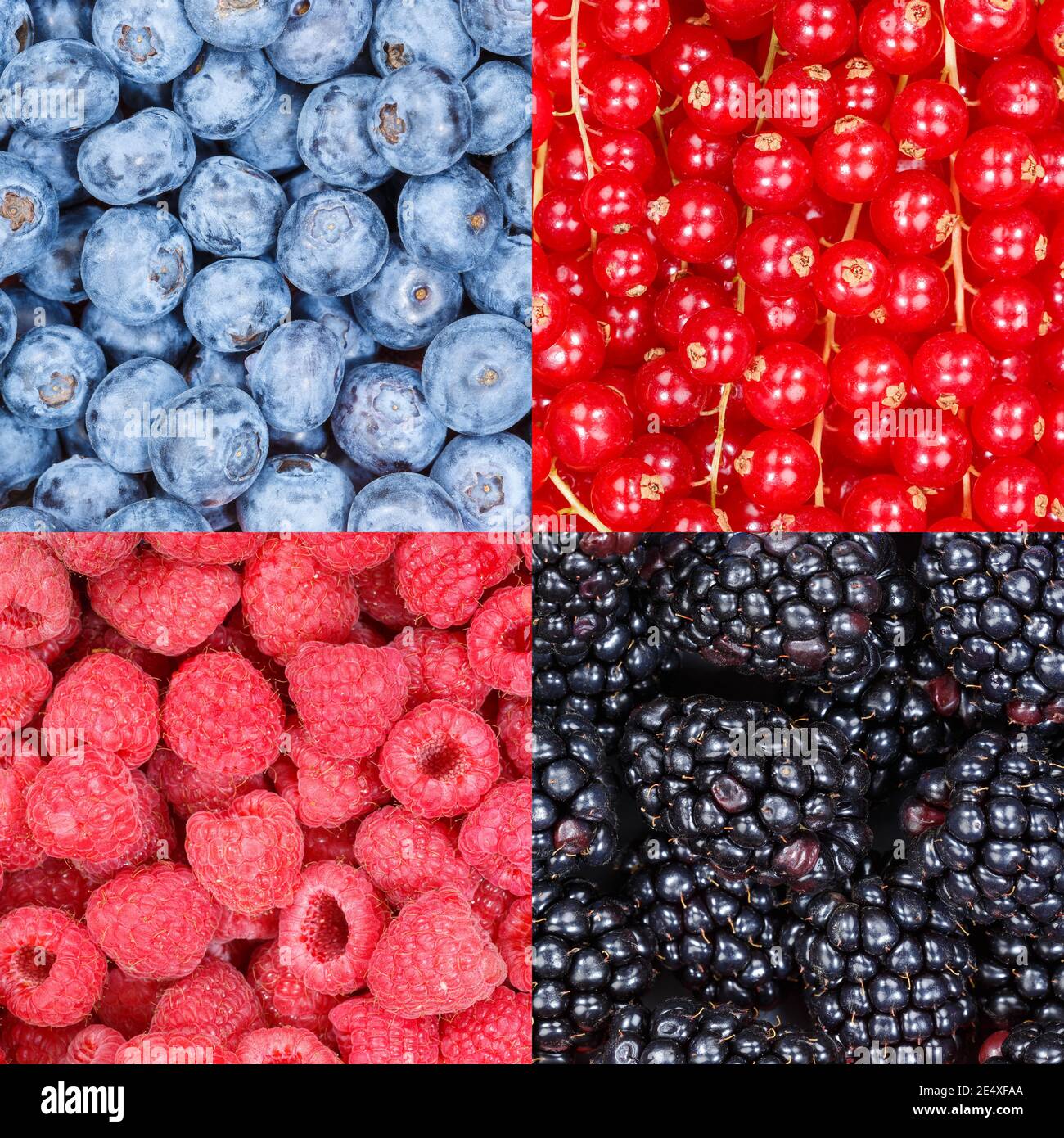 Berry fruits berries blueberries food background square collection