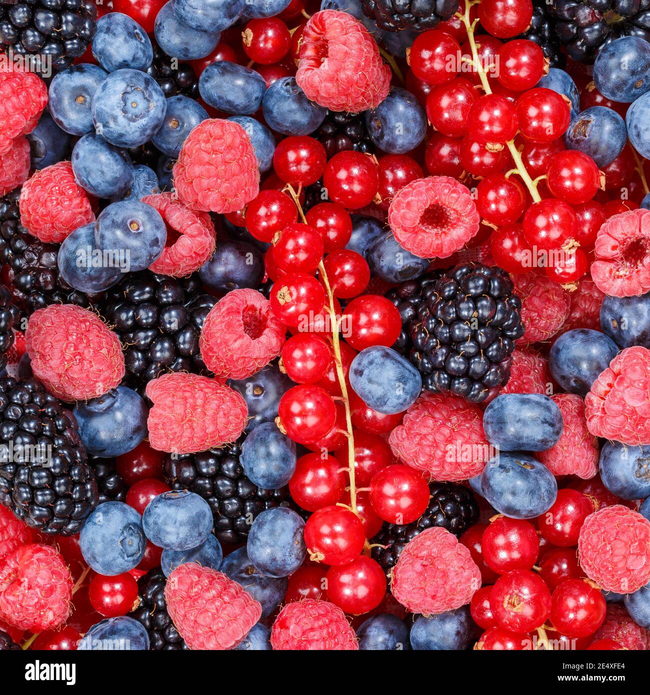 Berries berry fruits collection food background fruit square fresh backgrounds Stock Photo