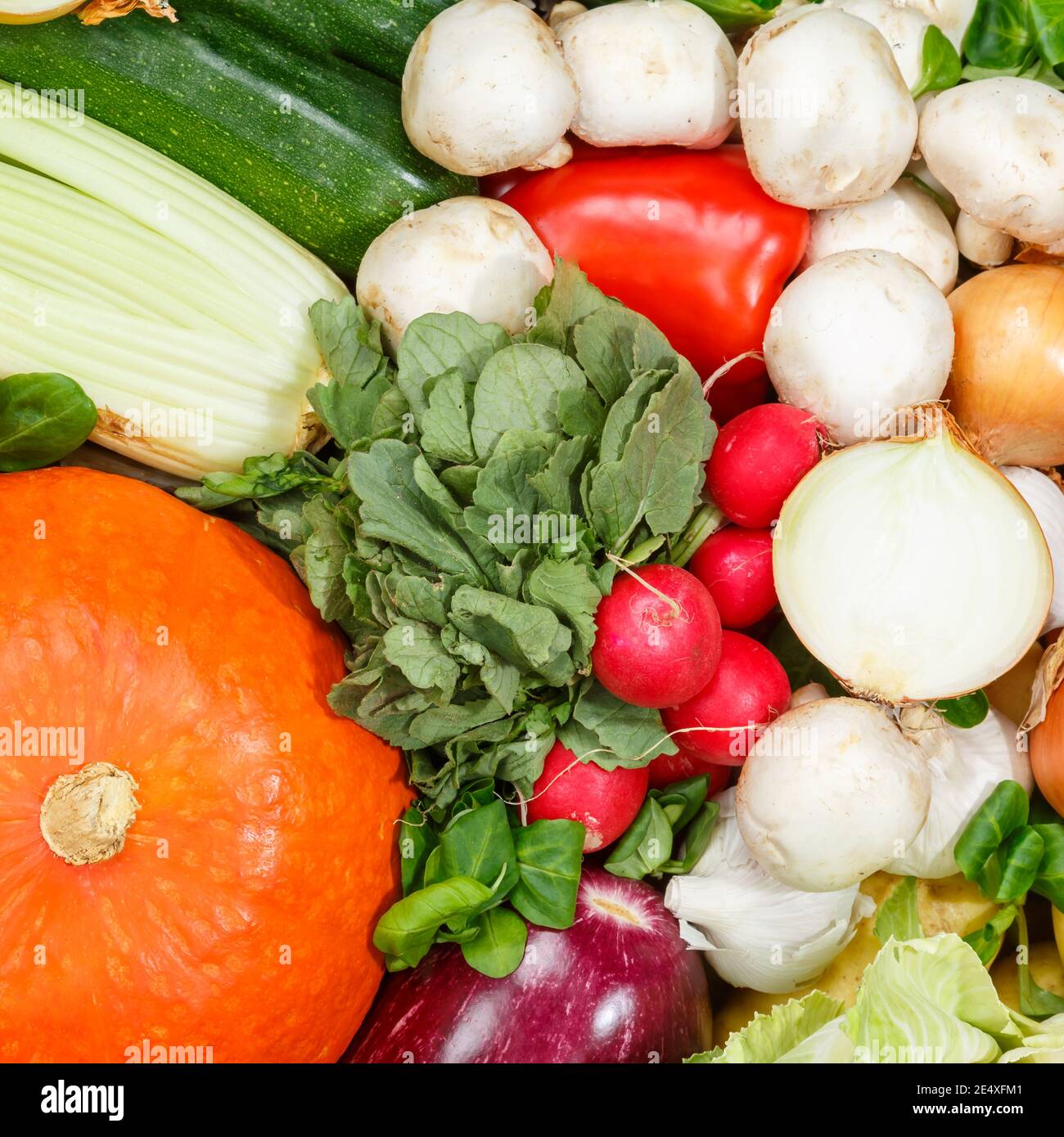 Vegetables background food collection pattern square pumpkin onions mushrooms vegetable backgrounds Stock Photo