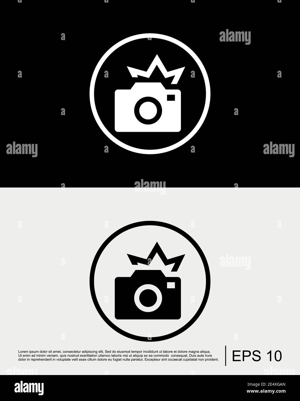 Camera Flash Icon Template Stock Vector Image & Art Alamy