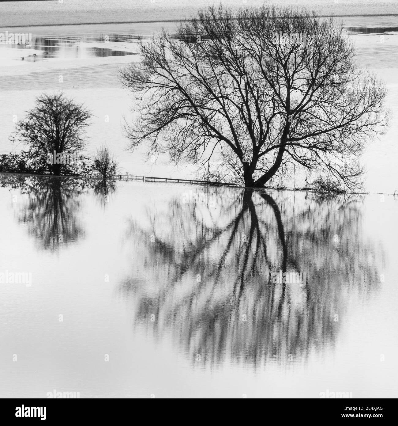 Flood river reflection Black and White Stock Photos & Images - Alamy