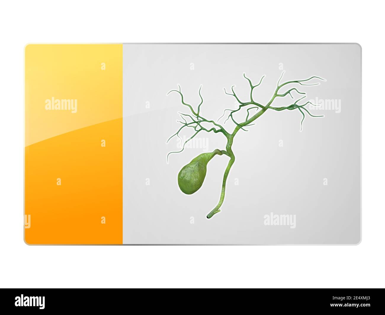 gallbladder symbol, button icon for web design, 3d and 2d graphic Stock ...