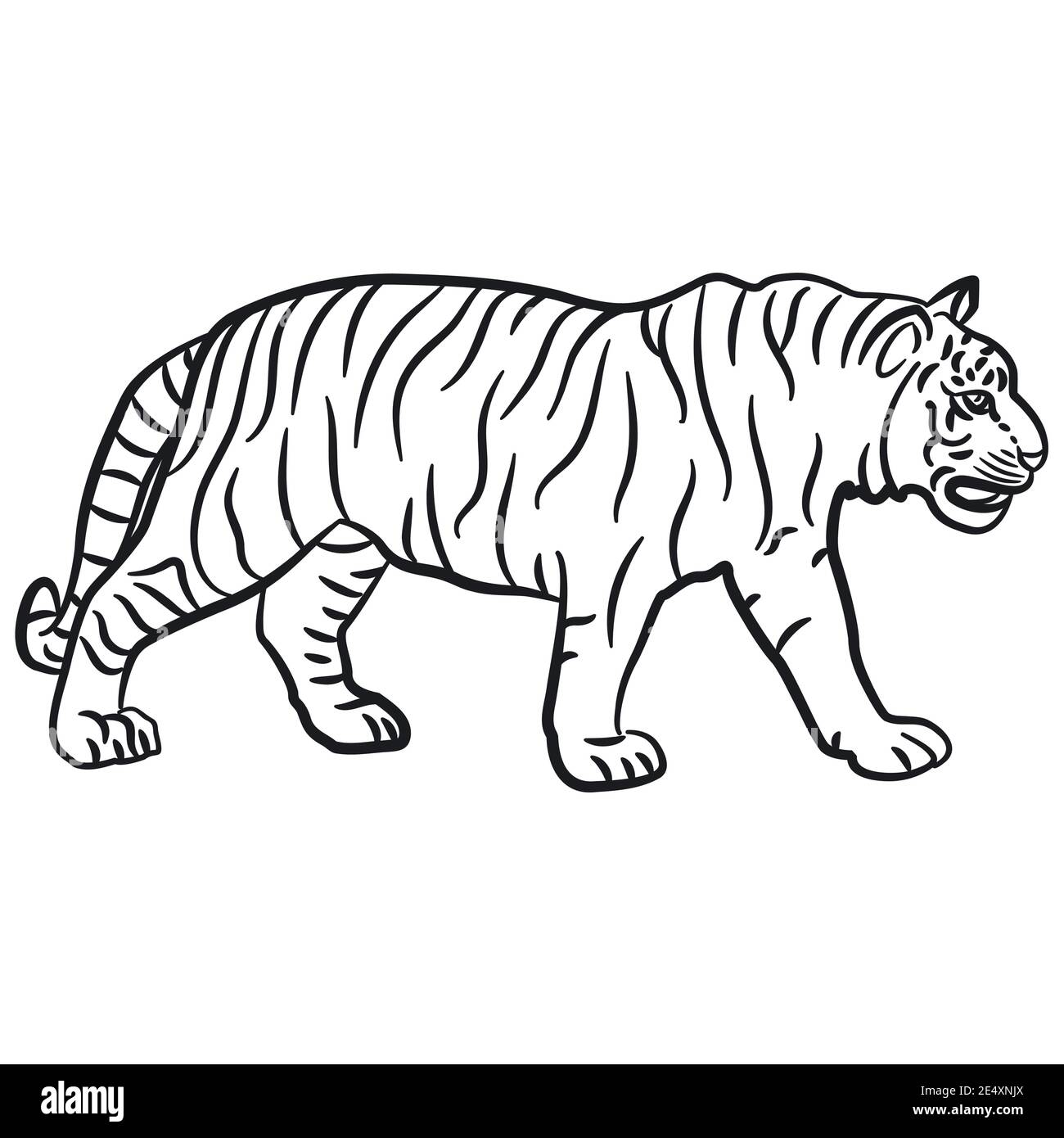 Black And White Outline Illustration Of The Walking Tiger Stock Vector