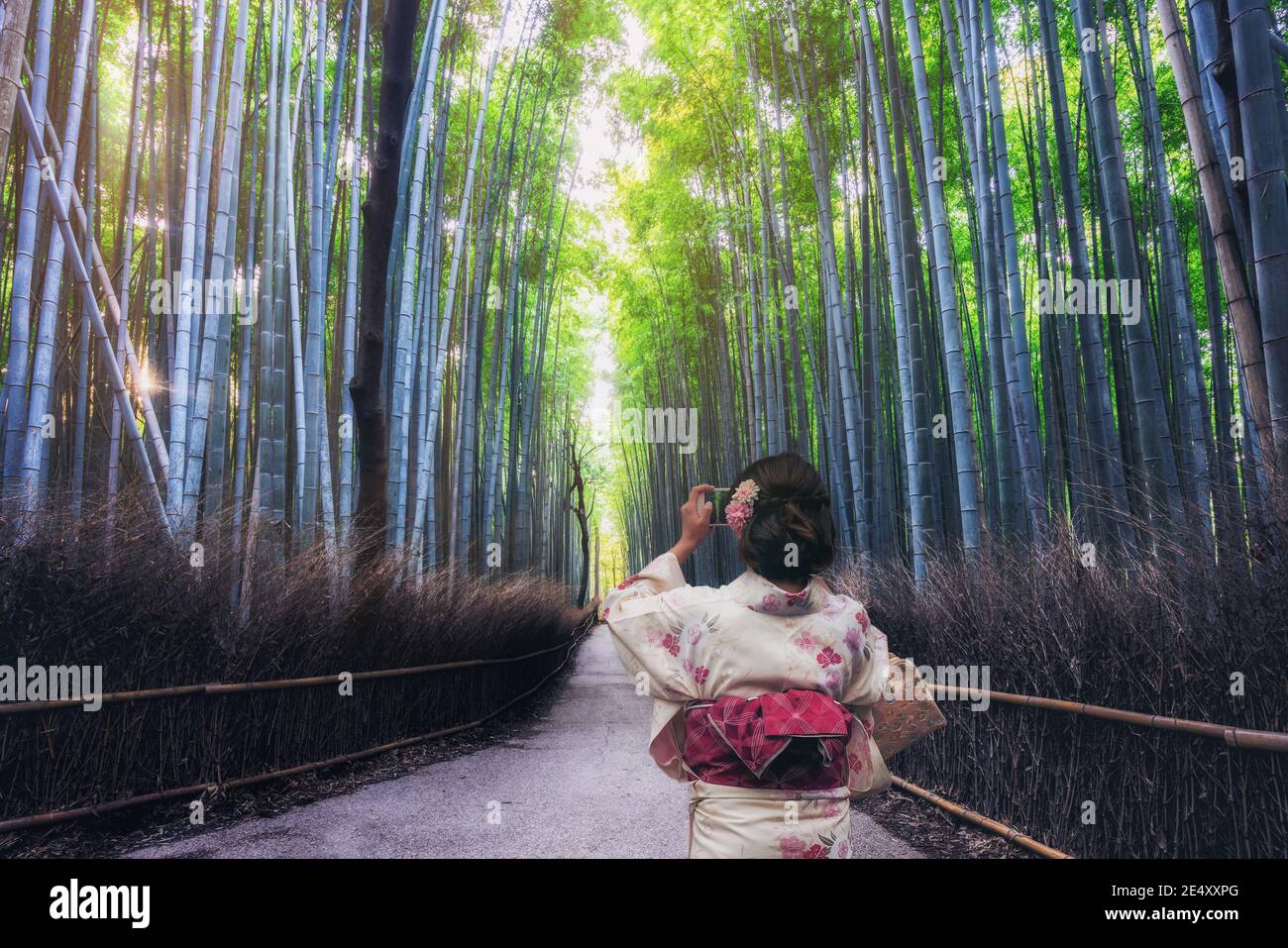 Geisha arashiyama bamboo forest hires stock photography and images Alamy