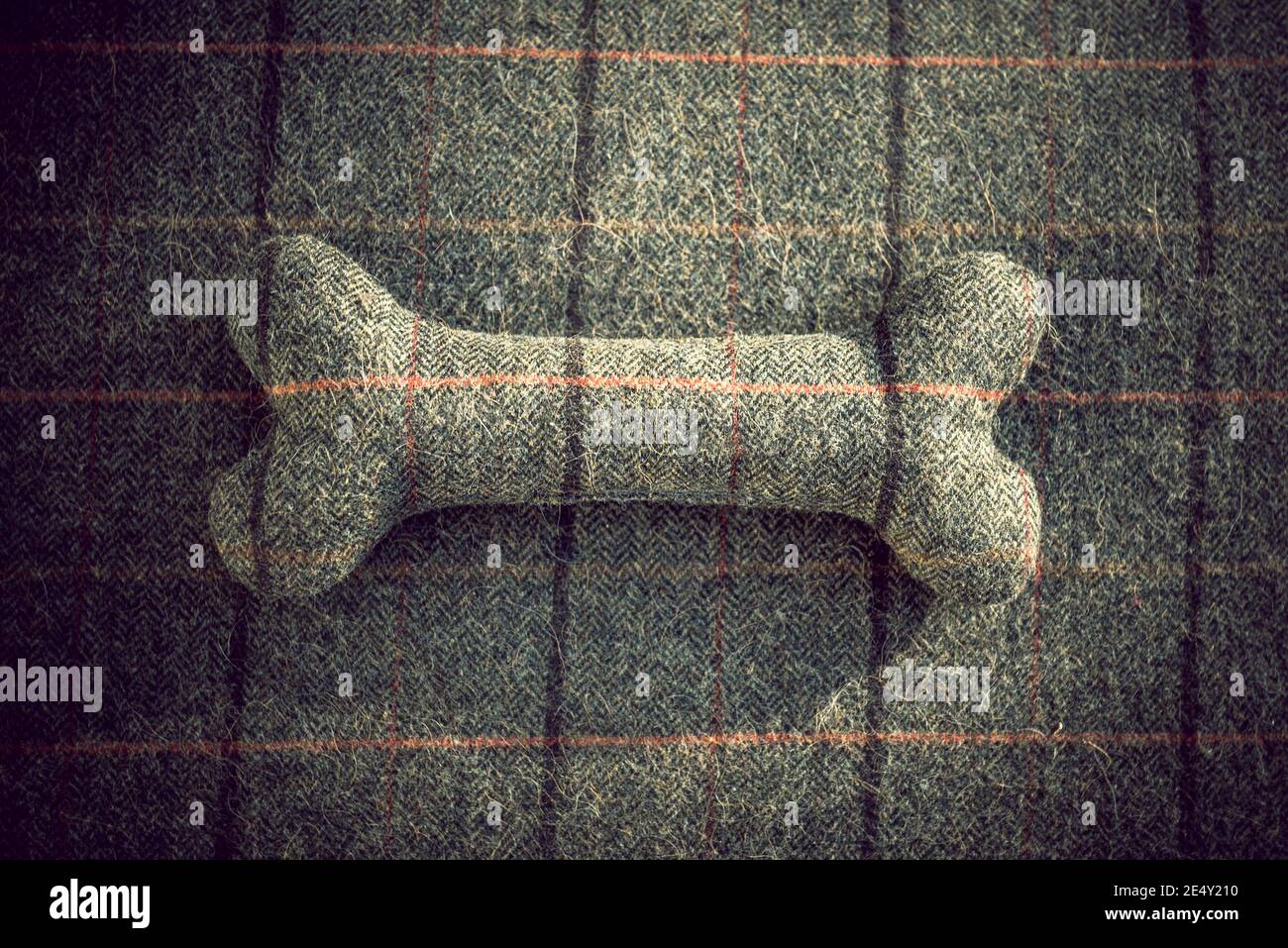 Tweed Bone Stock Photo