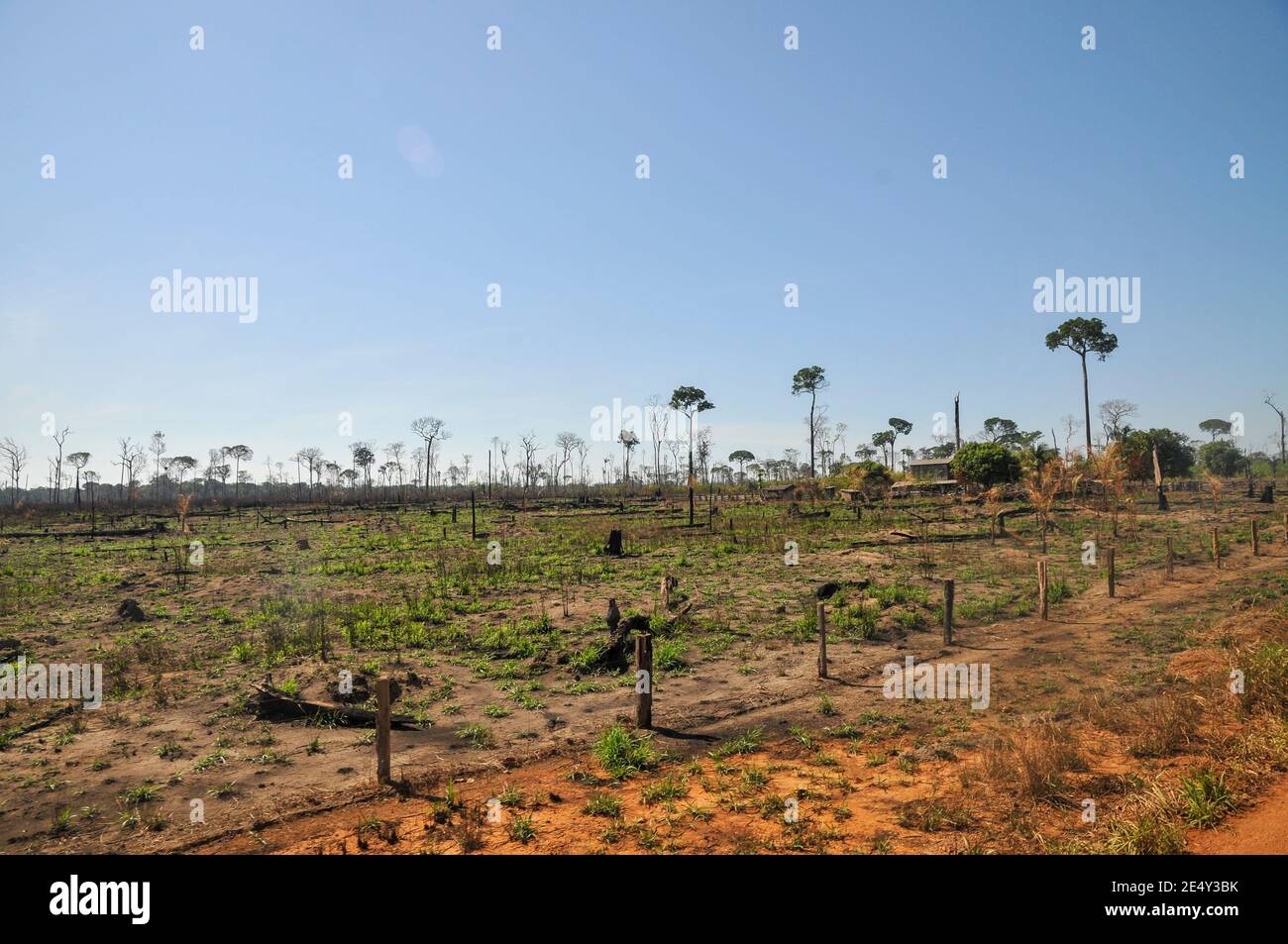 Amazon rainforest burn brazil hires stock photography and images Alamy