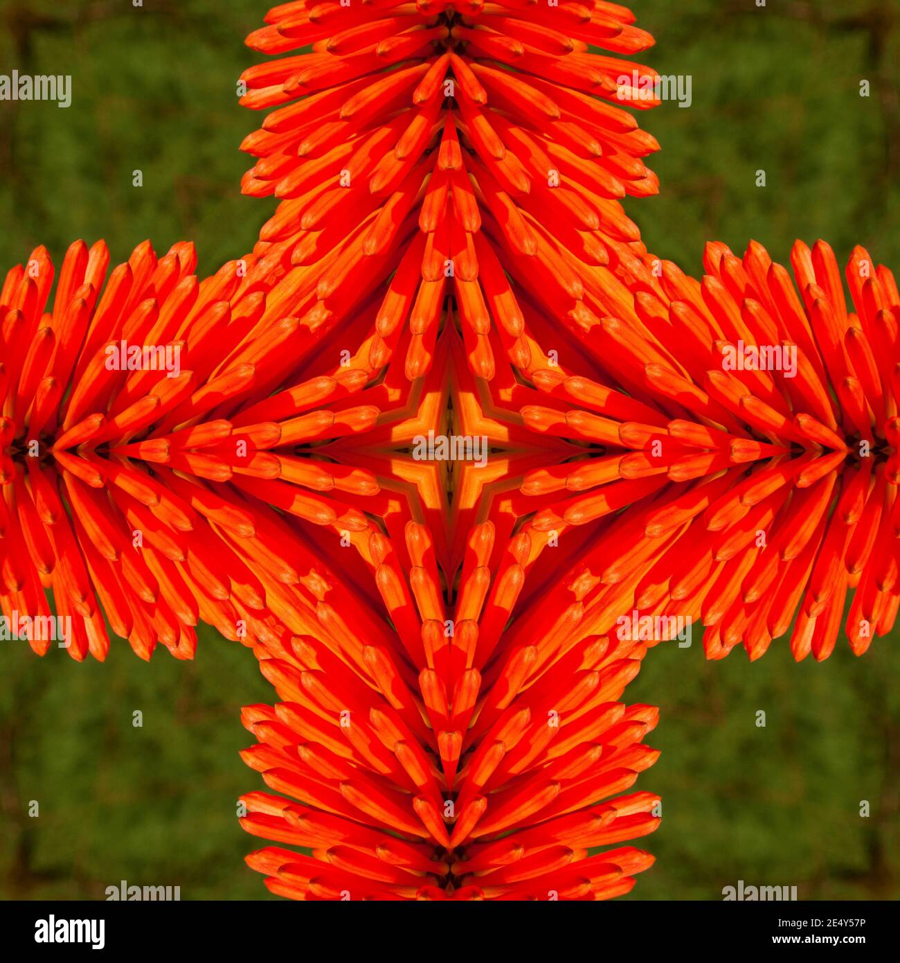 Kaleidoscope of flowers hi-res stock photography and images - Alamy