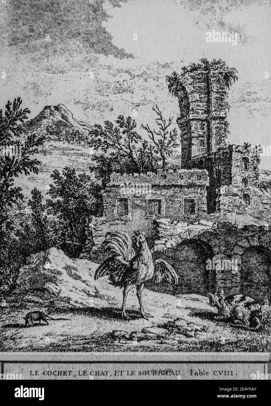 Le Cochet Le Chat Et Le Souriceau Fables De La Fontaine Editeur Talan Dier 1904 Dessin De J B Oudry Stock Photo Alamy
