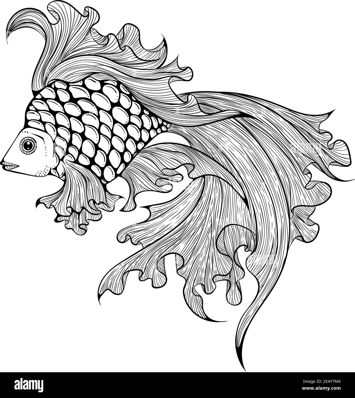 Aquarium goldfish in line art hand drawing style. Veil tail fish vector illustration isolated on white background. Fish silhouette for your design. Coloring book page Stock Vector