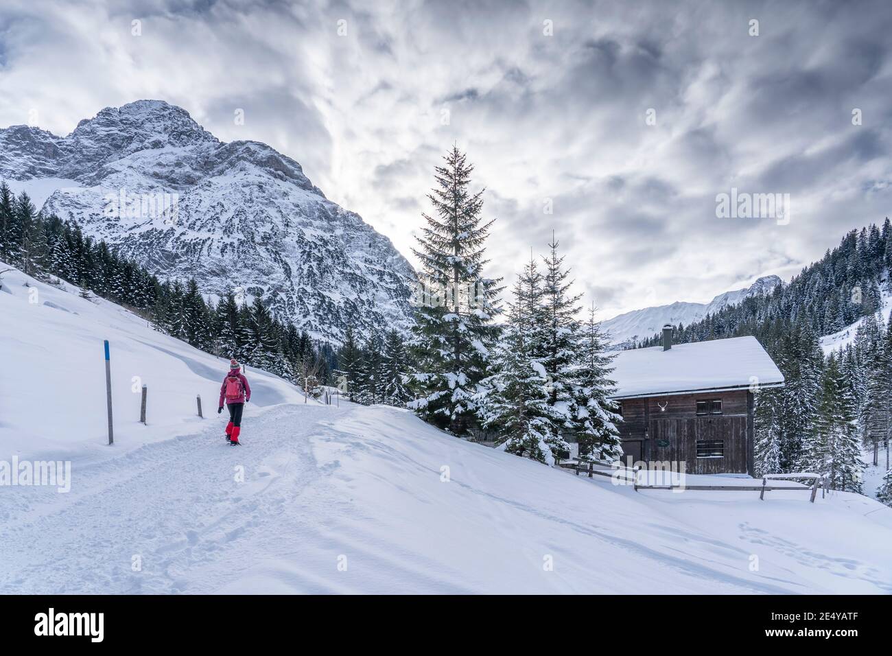 active senior woman hiking in the snowy mountains of Kleinwalsertal, Vorarlberg, Austria, near village of Baad, below the summit of Widderstein Stock Photo