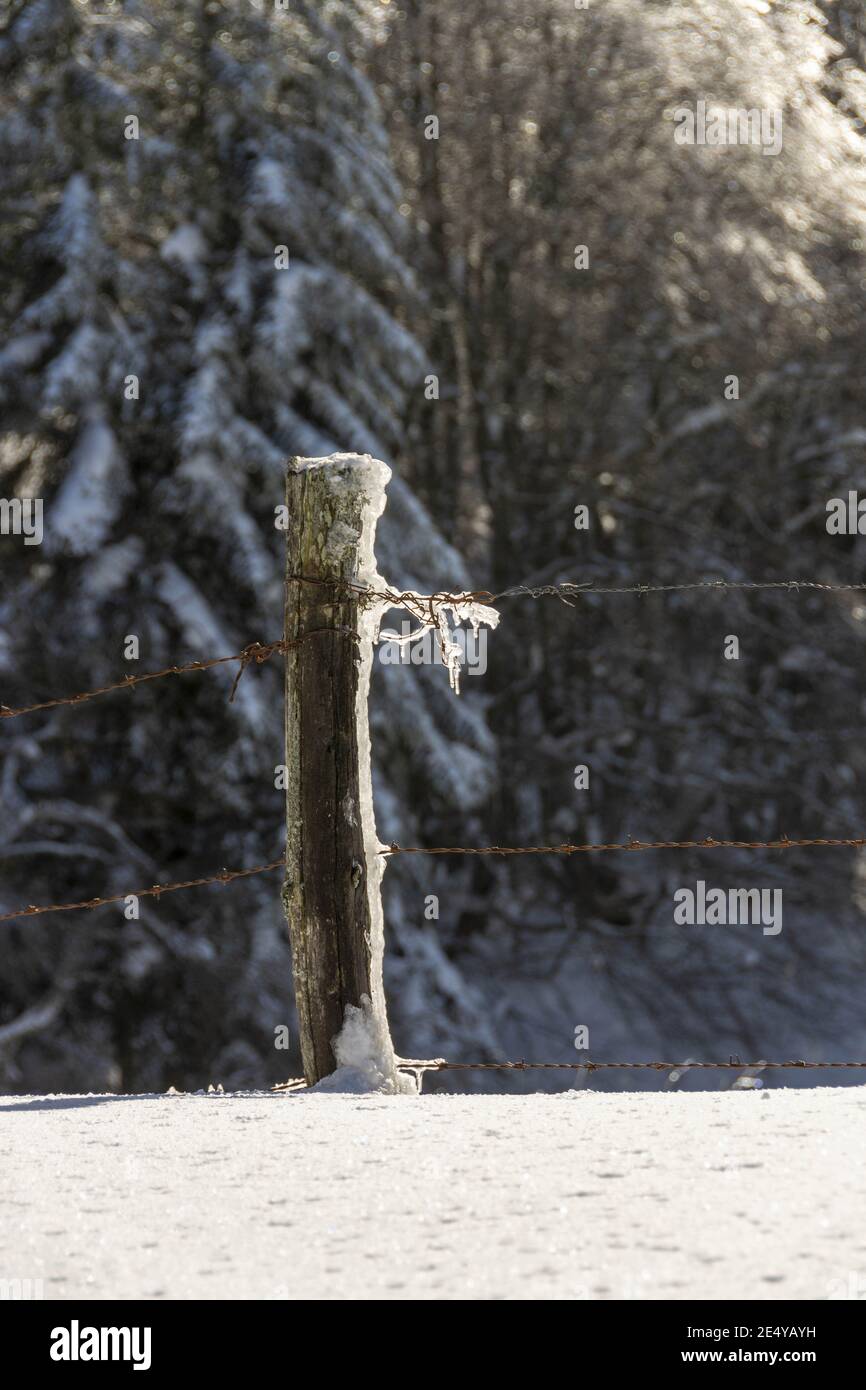 Vertical selective focus shot of a wooden fence with wires in a snowy ...