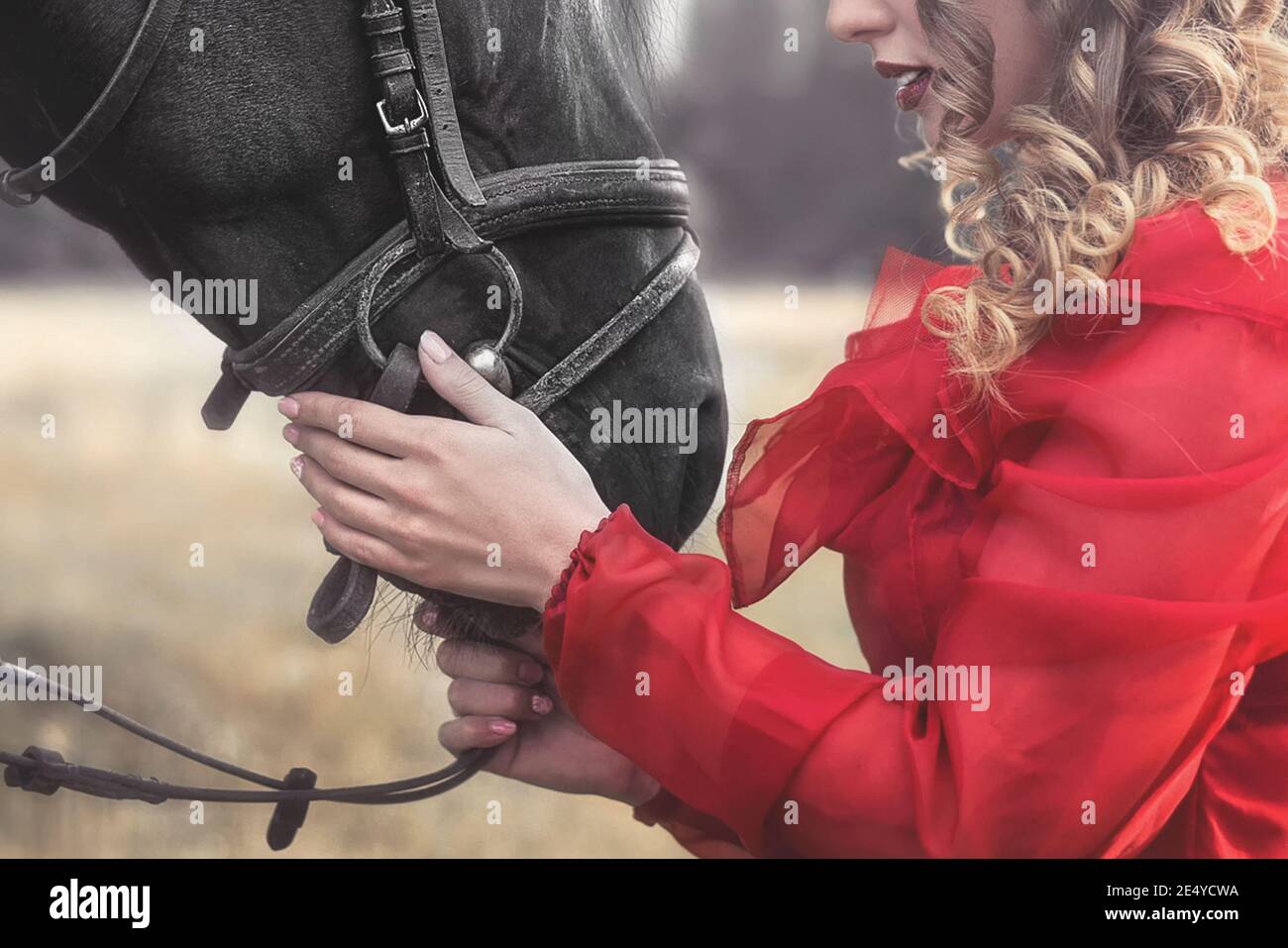 love for animals. young Woman with no face dressed in an elegant vintage dress, gently cuddling a horse, stroking his head. Stock Photo