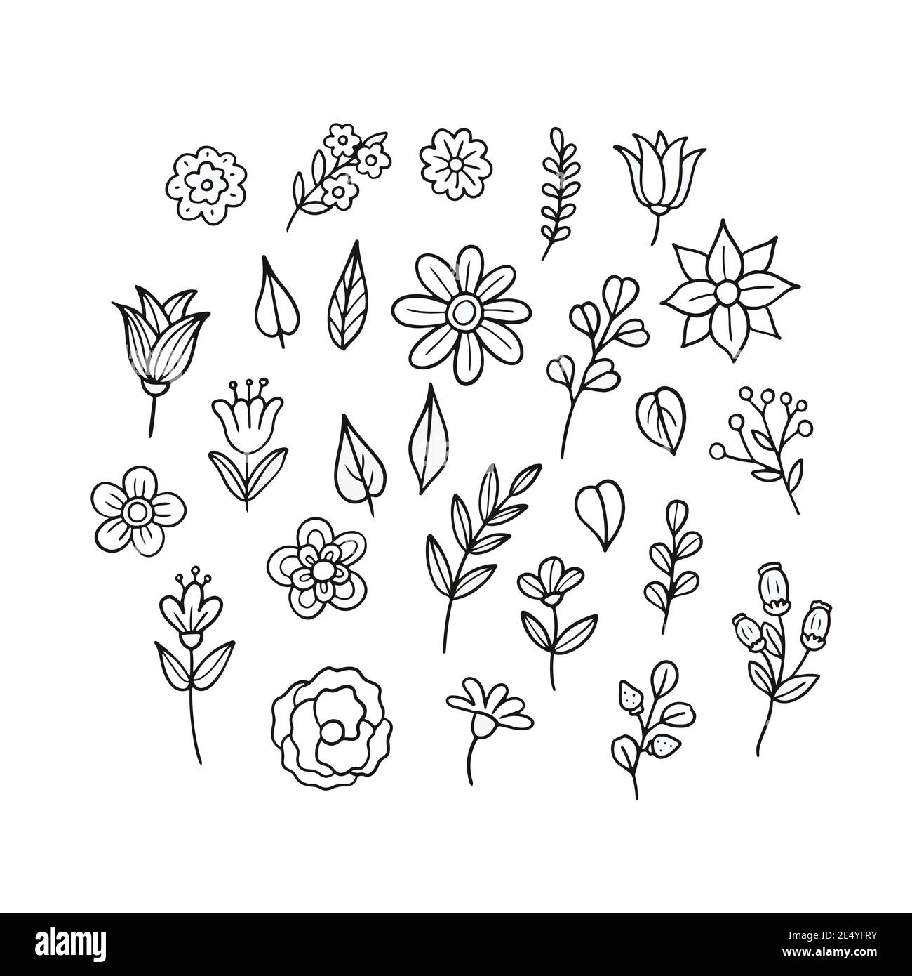 Set of hand drawn flowers and leaves. Vector illustration Stock Vector ...