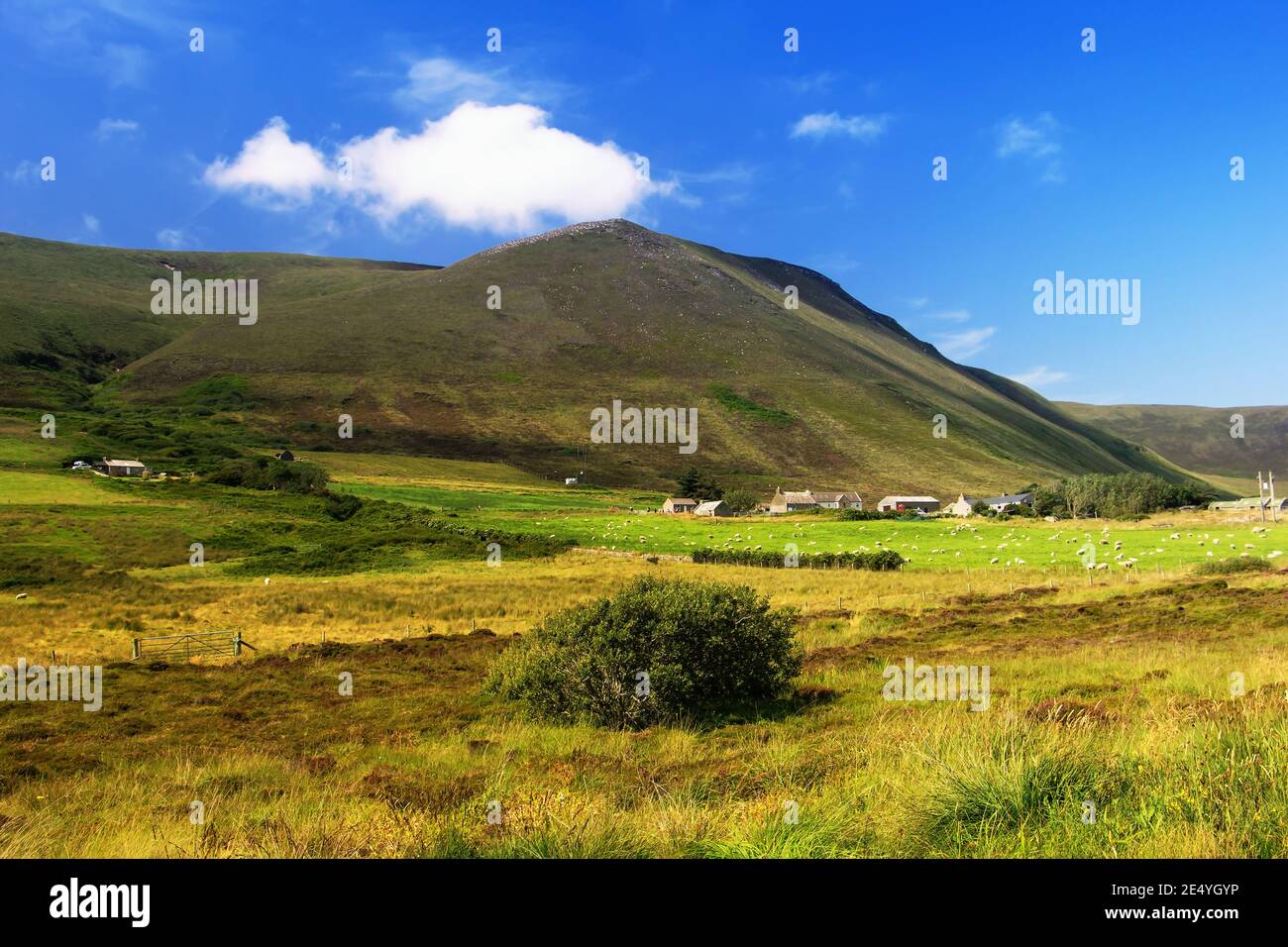 Big brown hill with green plants in foreground and blue sky, white clouds and stone built houses on scottish island Hoy on Orkney Stock Photo