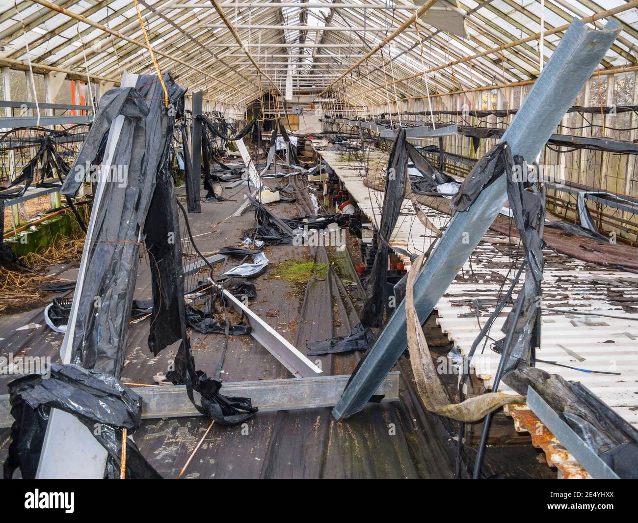 Interior of an old abandoned greenhouse Stock Photo