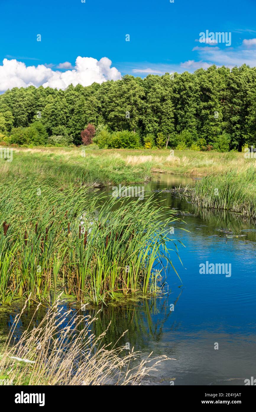 Summer landscape with river and cloudy sky Stock Photo - Alamy