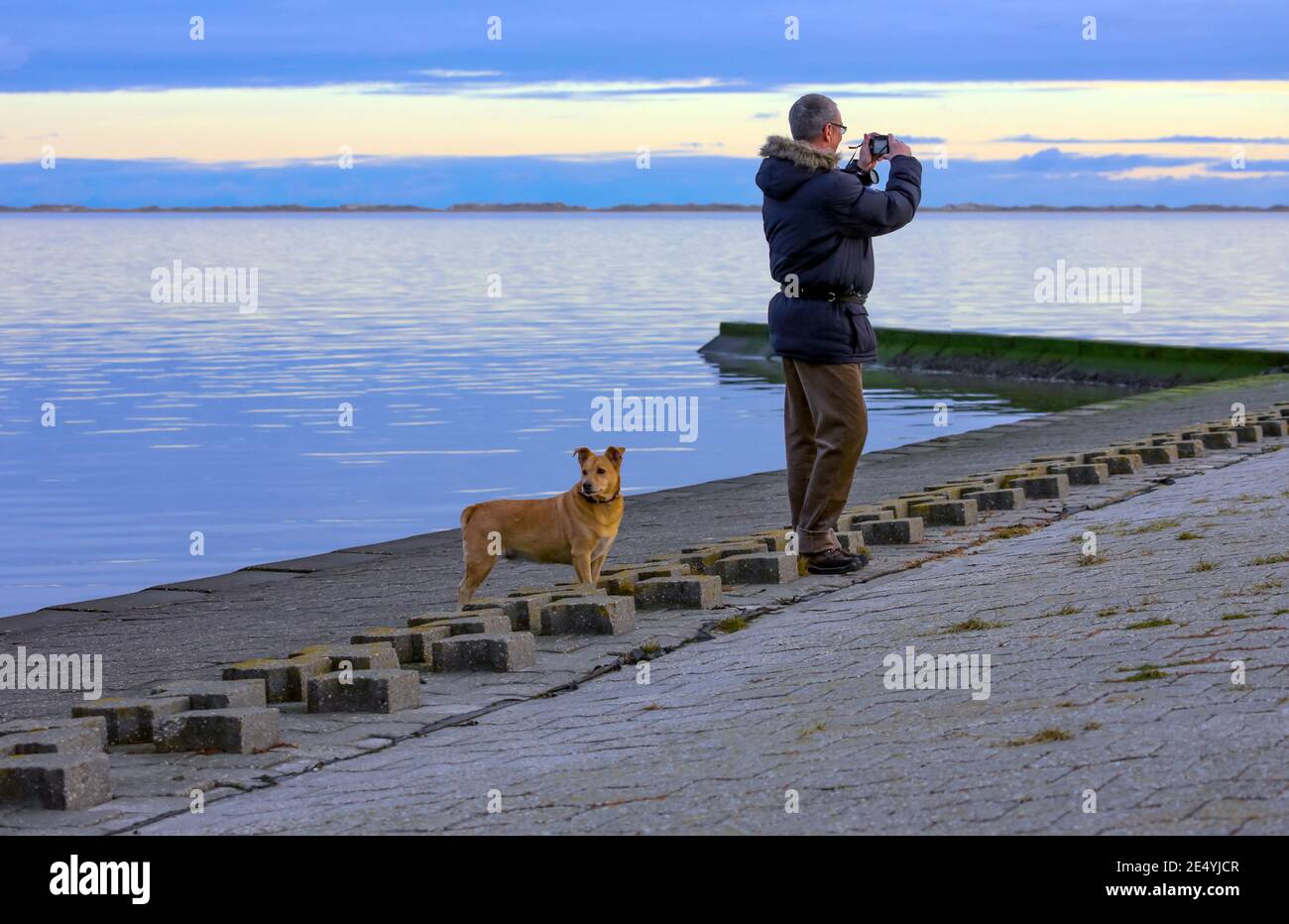 A man takes a photo by the North Sea. His dog is looking in a different direction. Everyone can enjoy the sea in their own way. Stock Photo