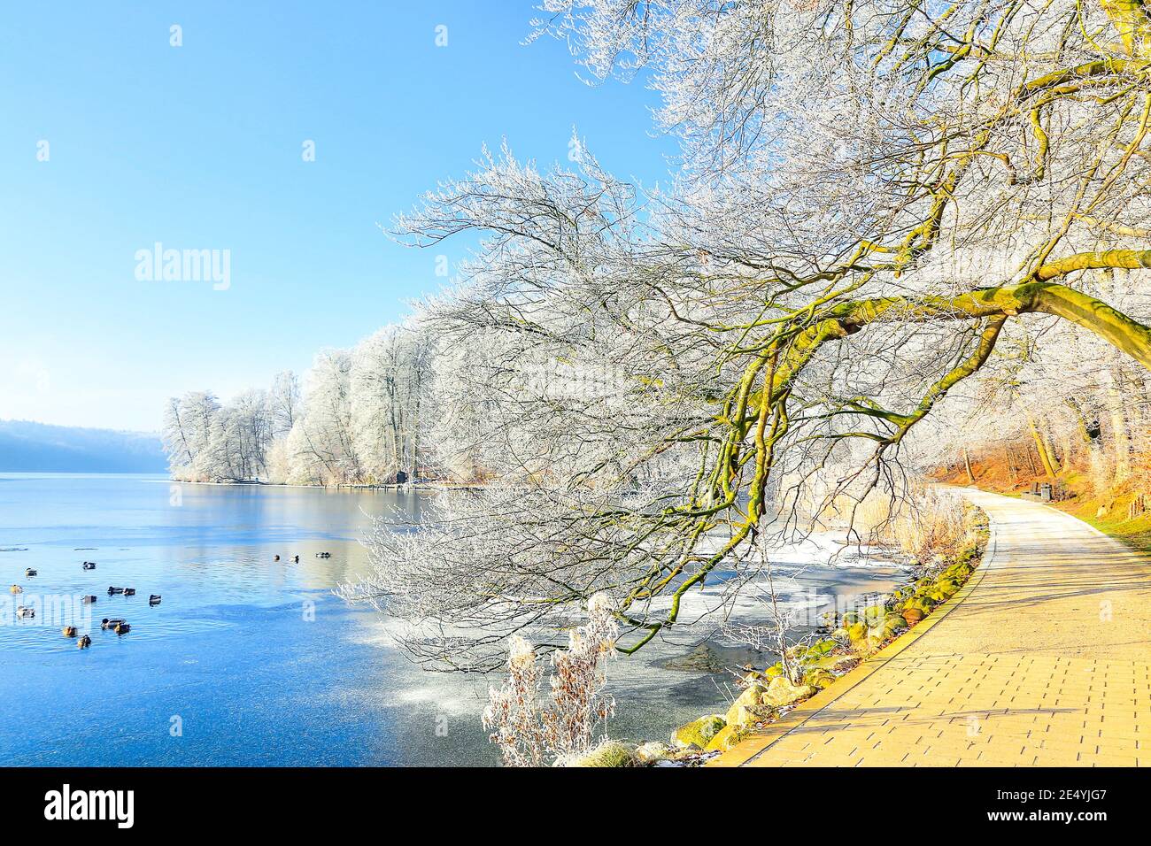 Inviting winter scene at the Dieksee in Malente. The sunny day invites you to take a walk. Stock Photo