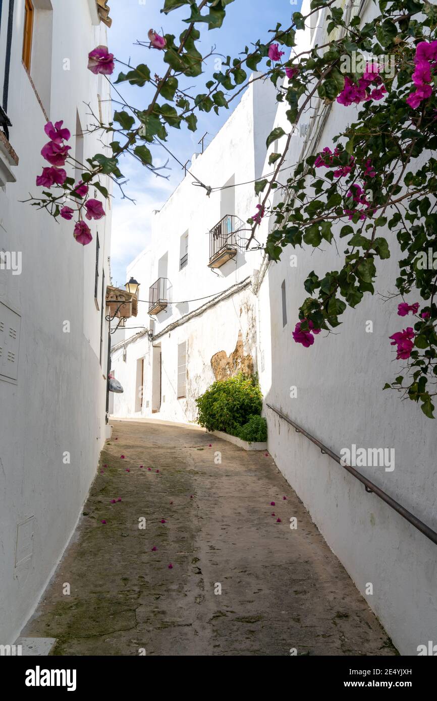 Vejer de la Frontera, Spain - 17 January, 2021: narrow street in the historic old center of Vejer de la Frontera with purple flowers in the foreground Stock Photo
