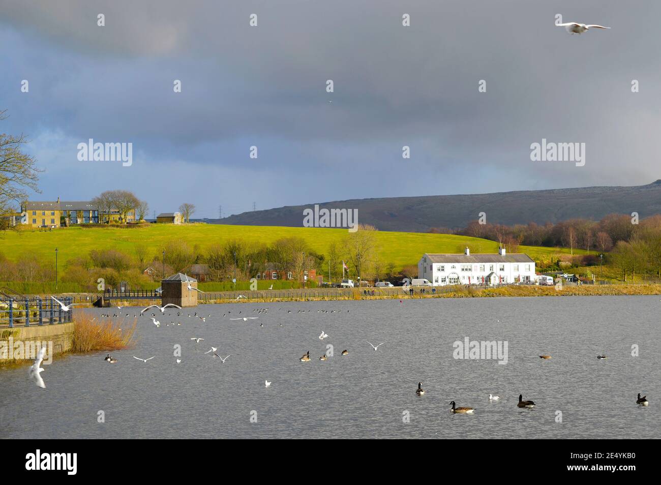 Winter sunshine over Hollingworth Lake in Ro Stock Photo