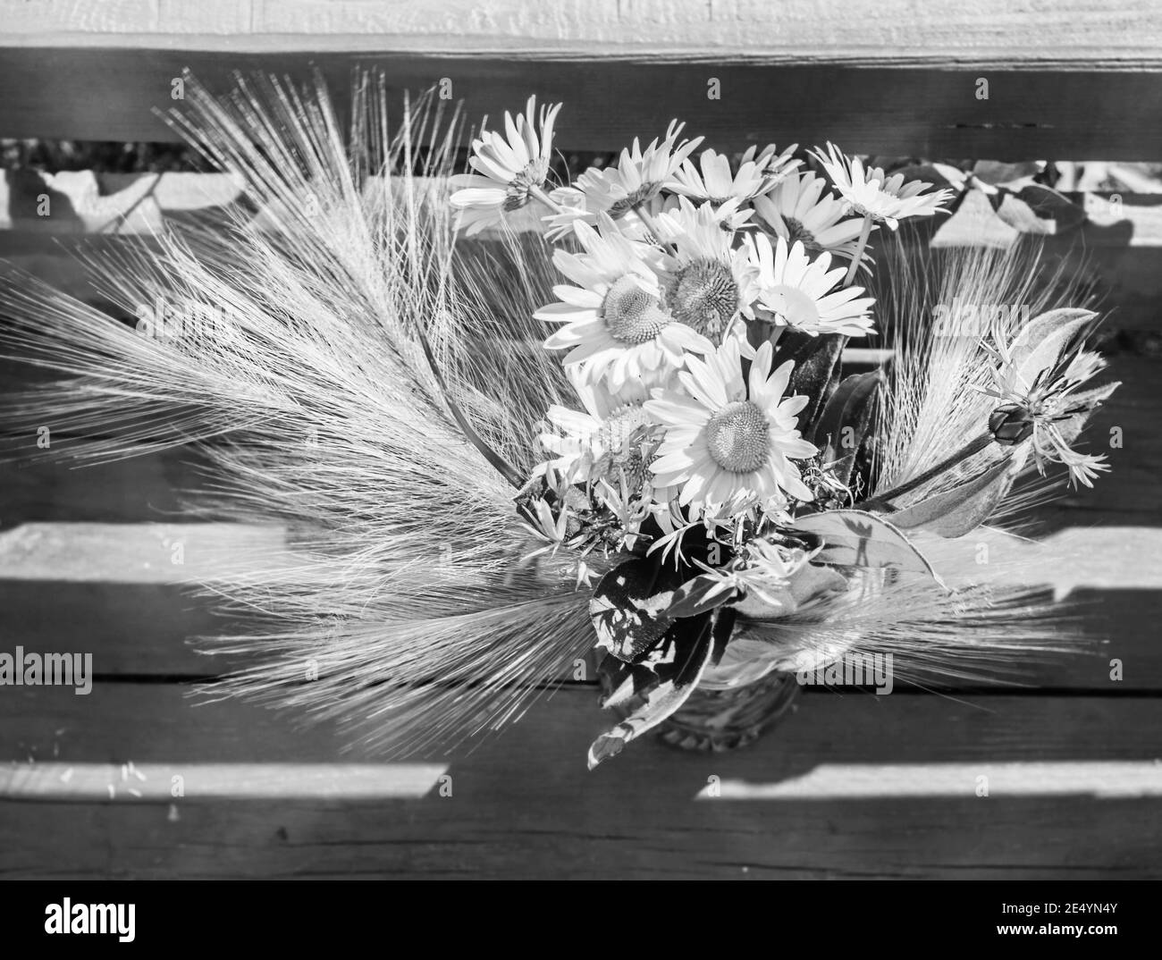 Bouquet chamomile daisies in Black and White Stock Photos & Images - Alamy