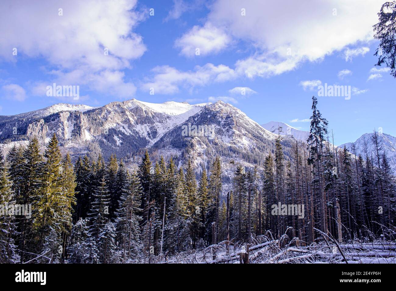 mountainous landscape in the Tatras in Poland - Snow-covered mountain ranges in the mountains in southern Poland. In the foreground, a pine forest. Stock Photo
