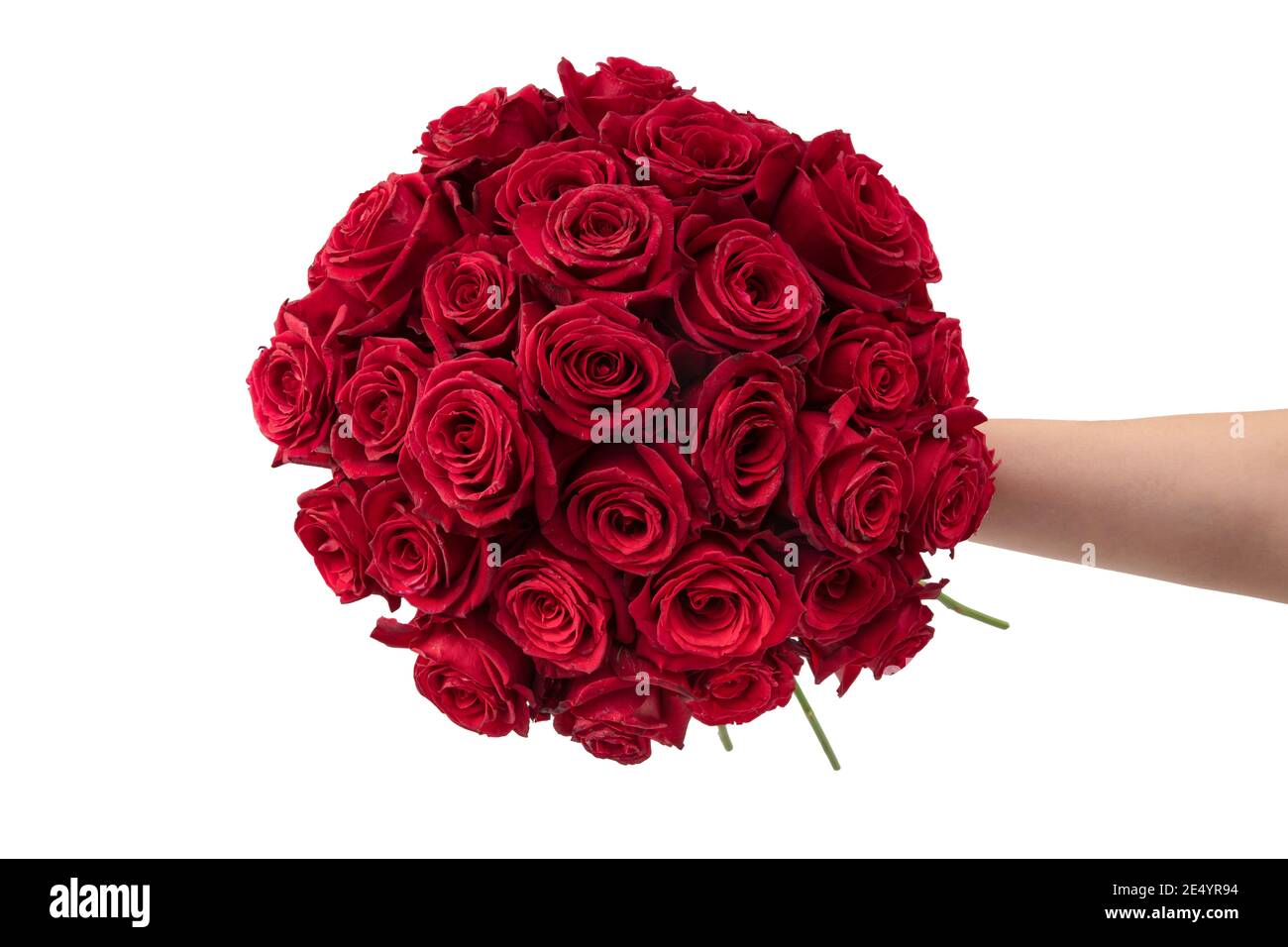 Red roses background. Many red roses, a huge bouquet of roses. Bouquet