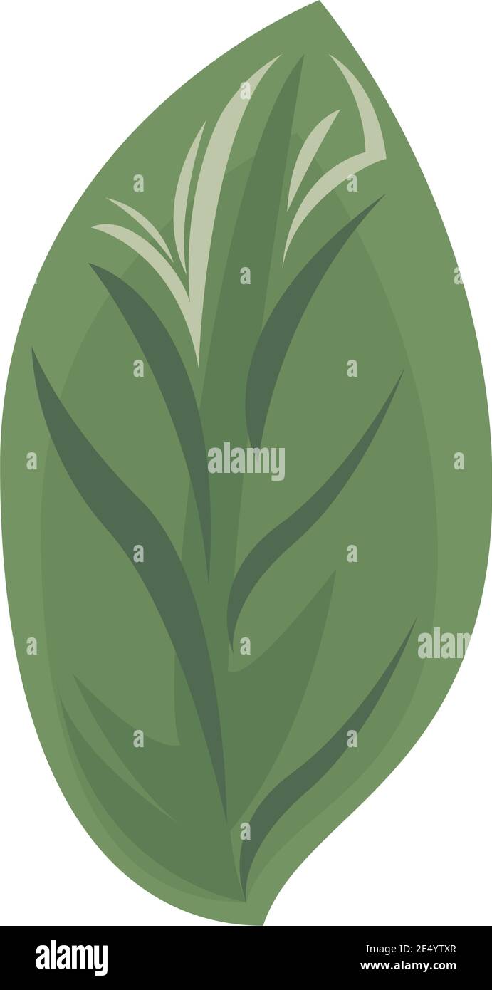 ecology leaf plant green nature icon vector illustration design Stock ...