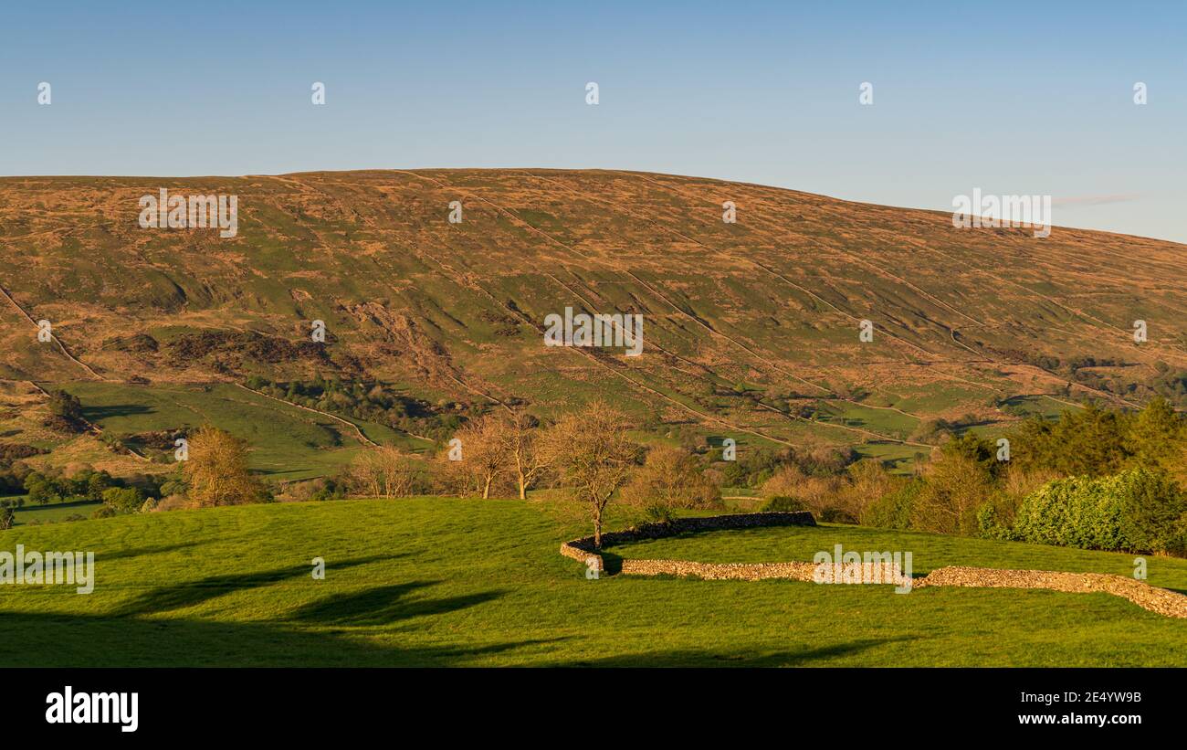 Yorkshire Dales landscape in the Dent Dale near Gawthrop, Cumbria, England, UK Stock Photo