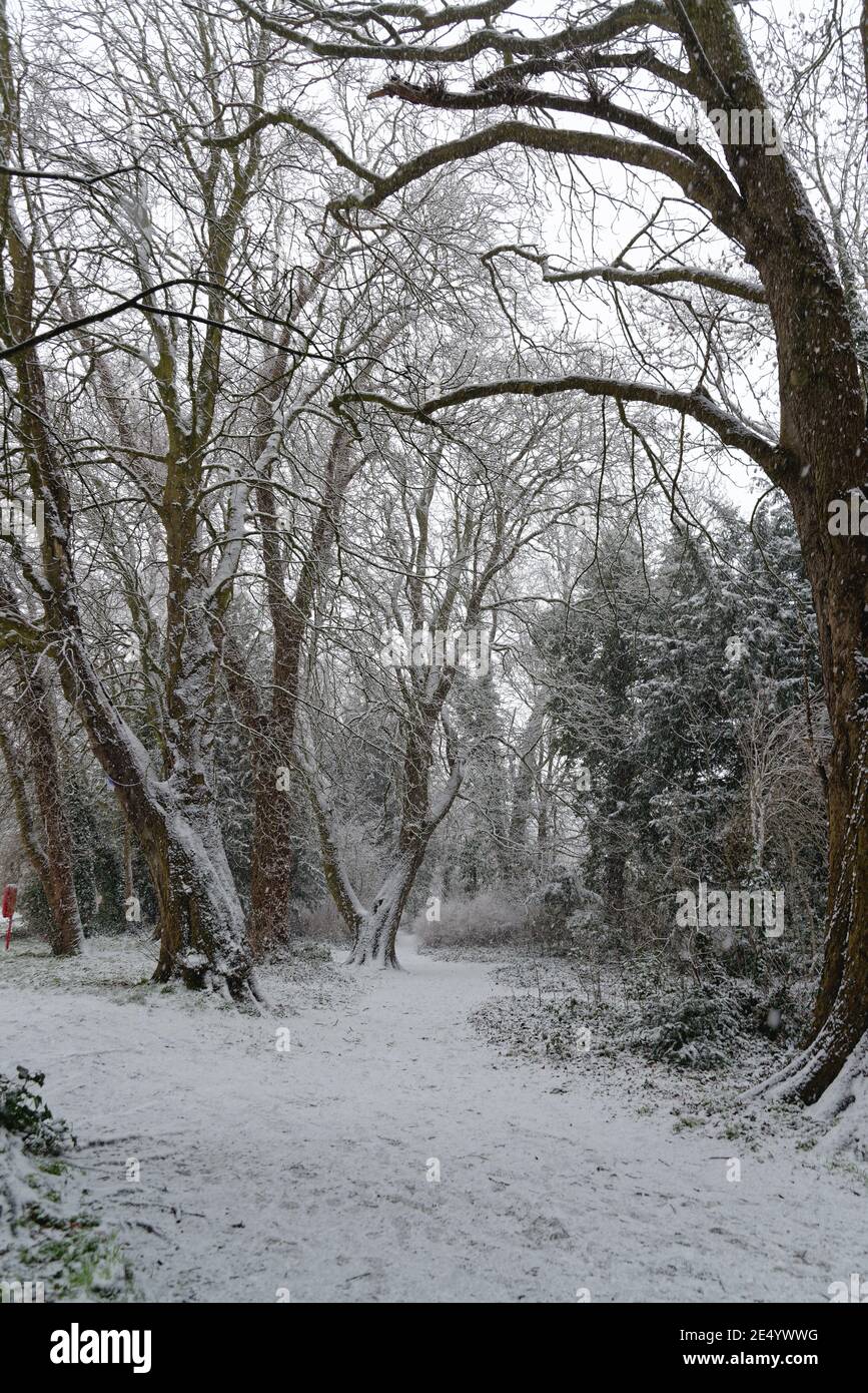Heavy snowfall in area hi-res stock photography and images - Alamy