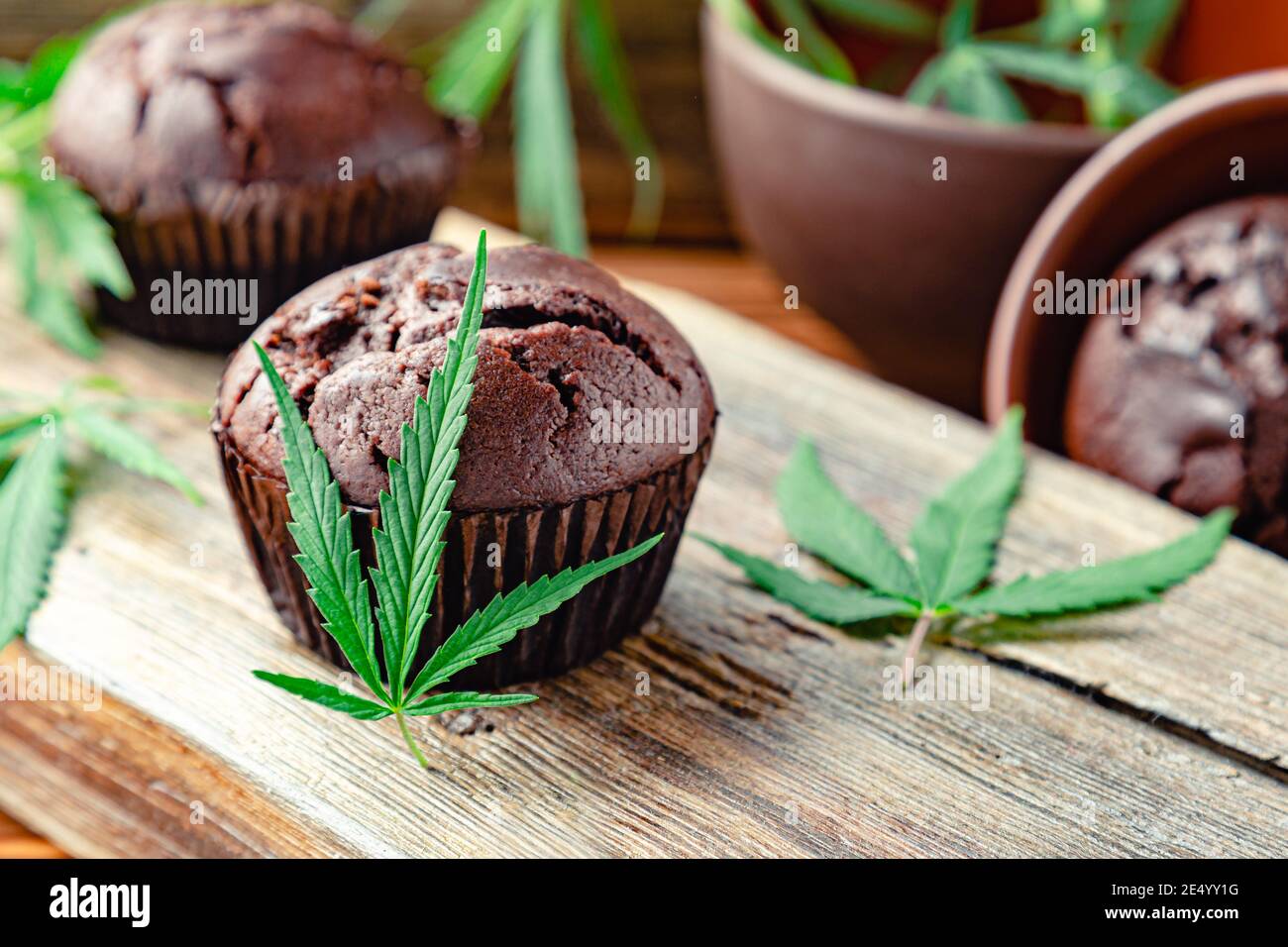 Chocolate cupcake muffins with cannabis weed cbd. Medical marijuana hemp drugs in food dessert, ganja legalization. Cooking baking chocolate weed Stock Photo