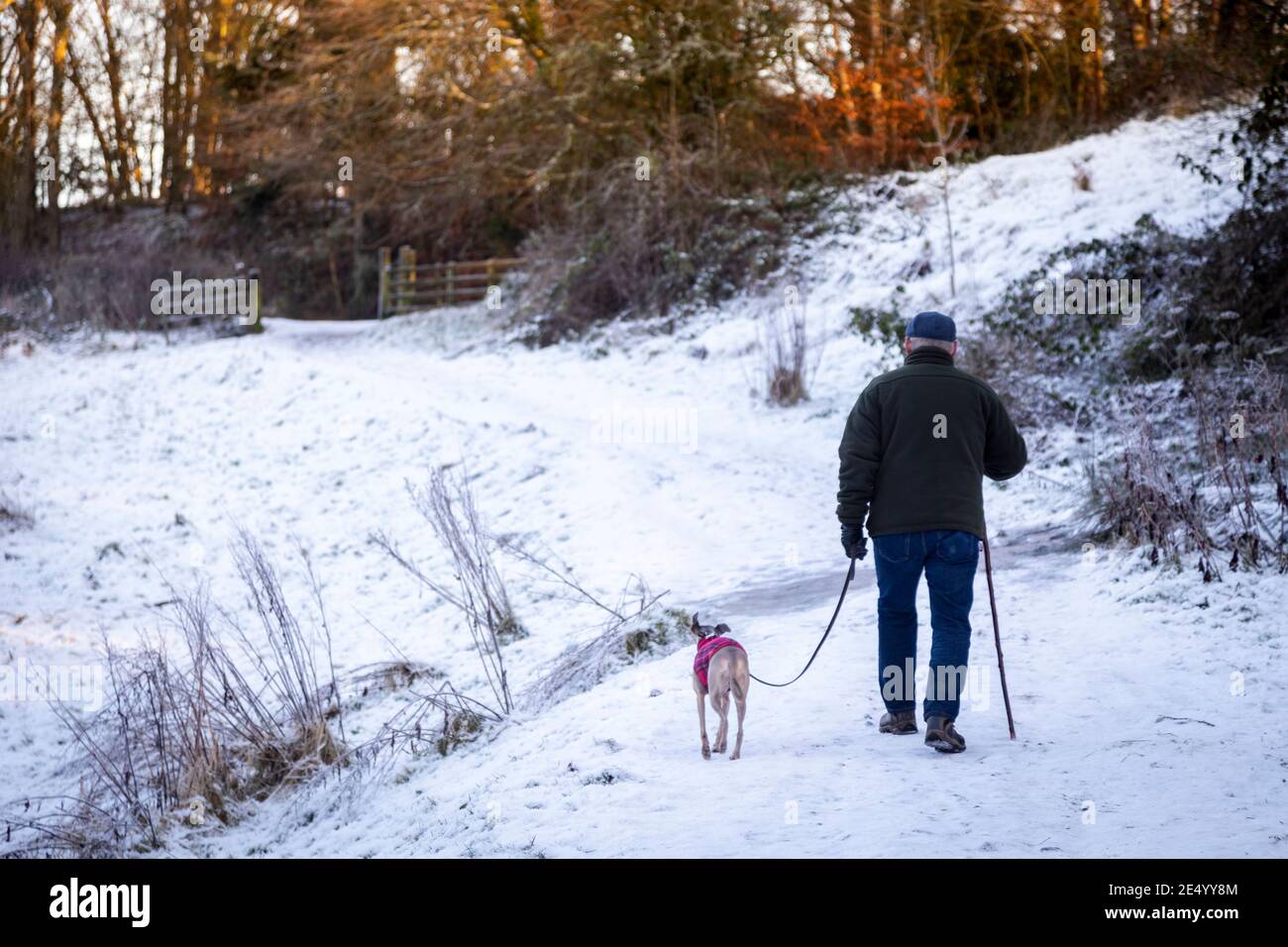 man walking his dog in winter Stock Photo - Alamy