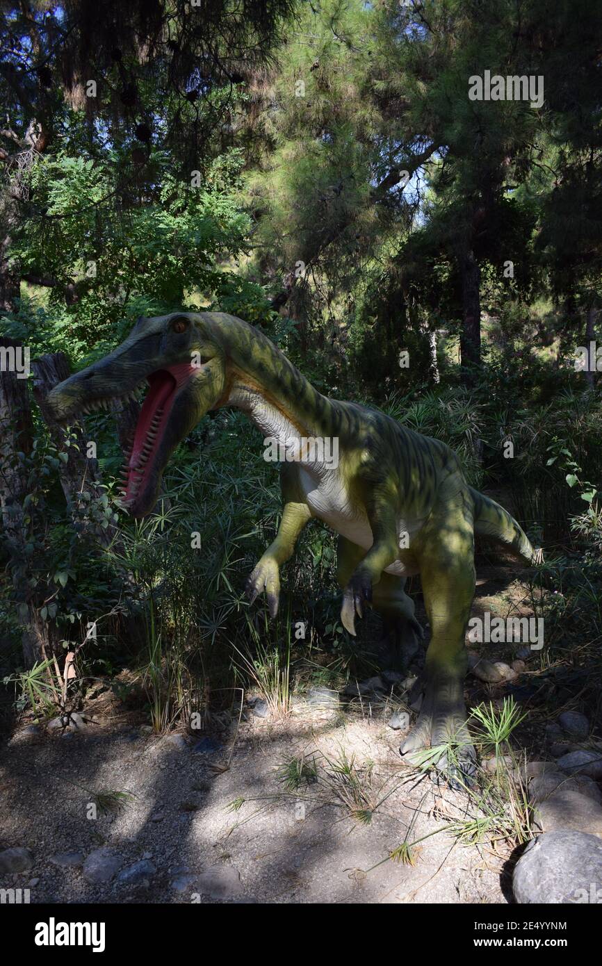 Roaring Baryonyx standing in tall grass display model Dinosaur statue in the forest park in nature for background. Dinopark in Turkey, Goynuk. Prehist Stock Photo