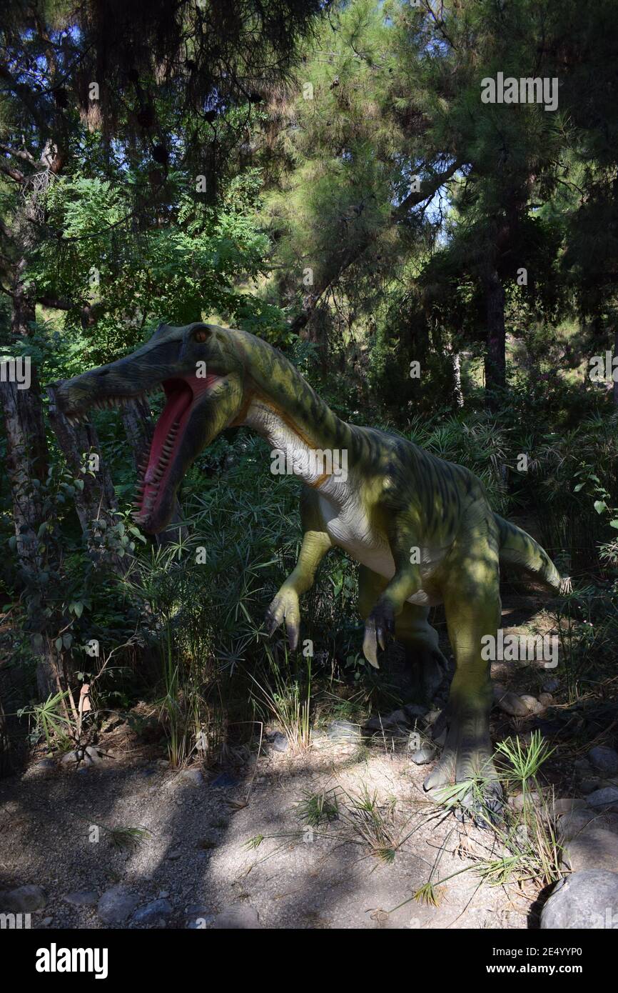 Roaring Baryonyx standing in tall grass display model Dinosaur statue in the forest park in nature for background. Dinopark in Turkey, Goynuk. Prehist Stock Photo