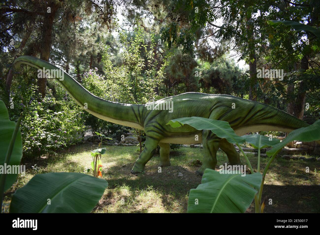 Dinosaur statue in the forest park in nature for background. Omeisaurus - Middle Jurassic 171-161 million years ago. Dinopark in Turkey, Goynuk. Stock Photo